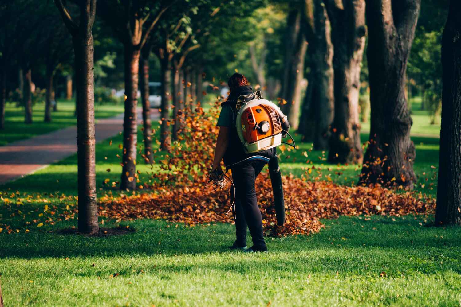 Best Tree Care Services  in Wright, FL